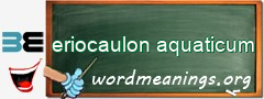 WordMeaning blackboard for eriocaulon aquaticum